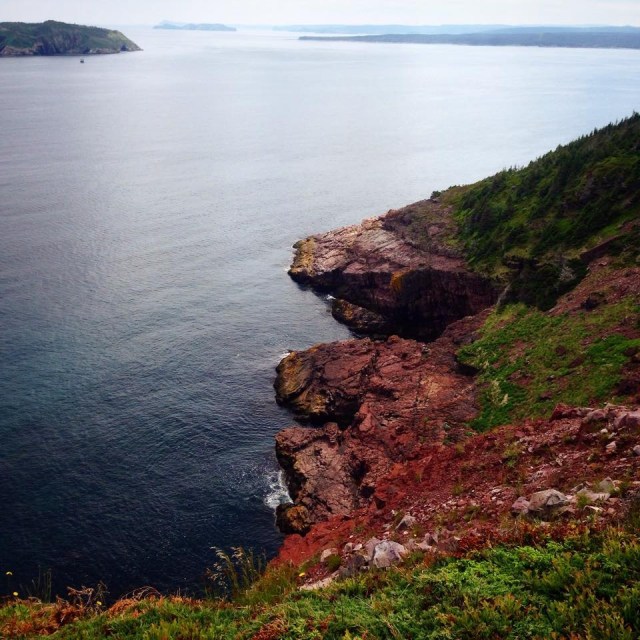 Photo Courtesy of Chris Hoddinott